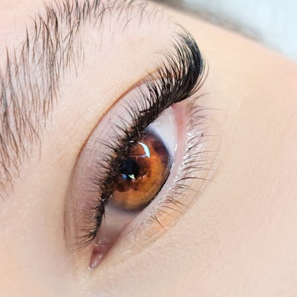 Perfectly shaped brows