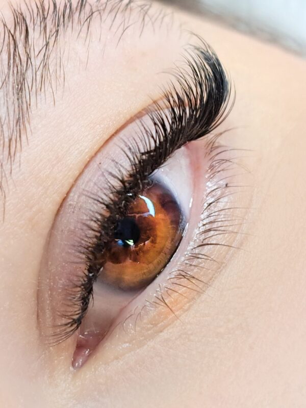 Brow Shape & Wax